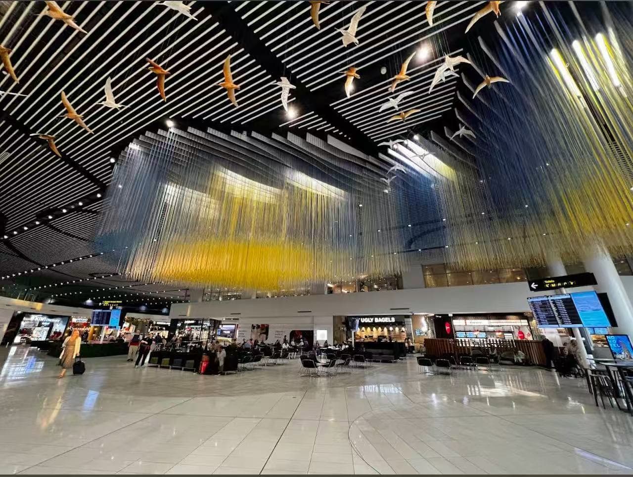 Auckland Airport project image