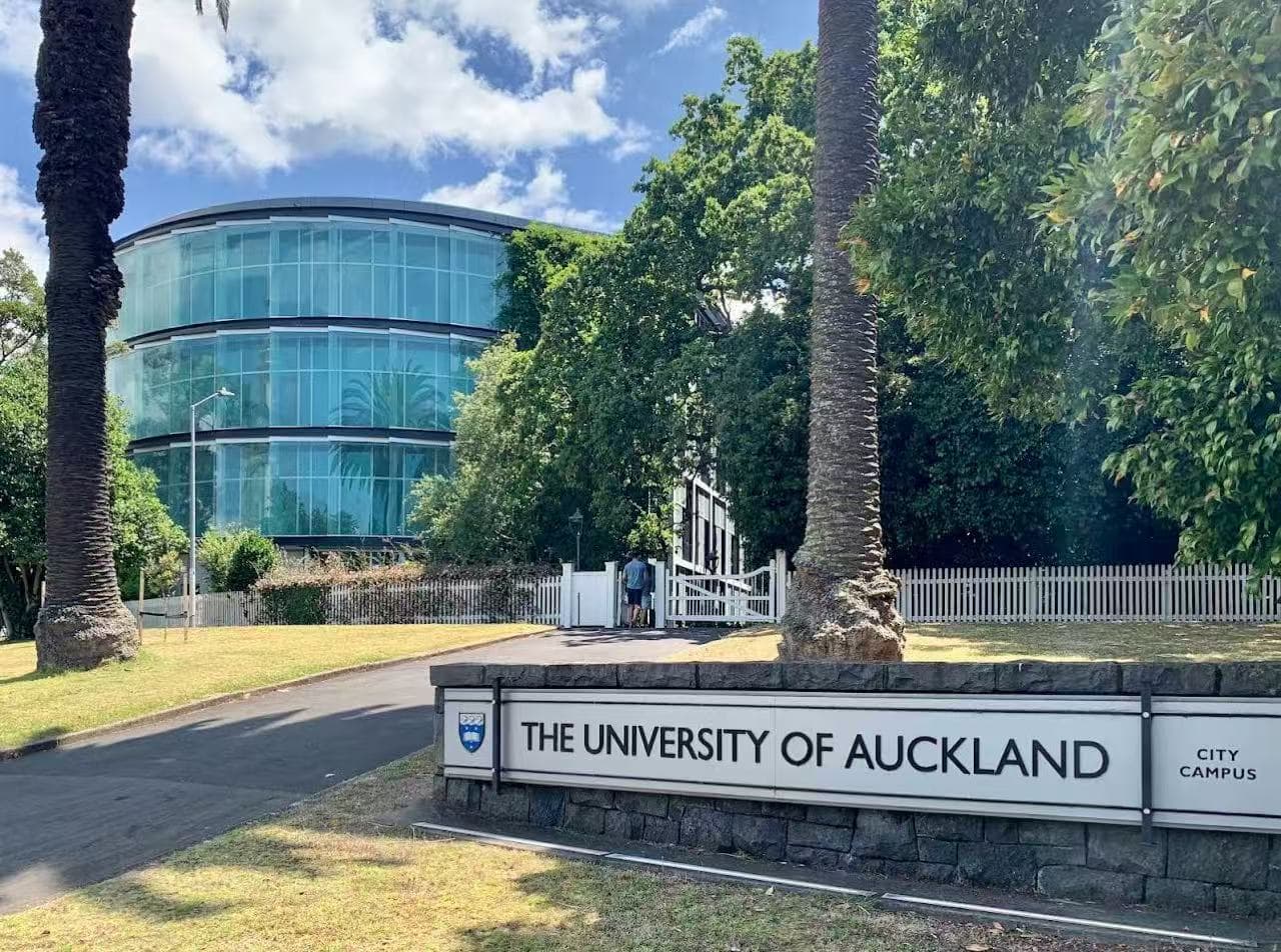 The University of Auckland project image
